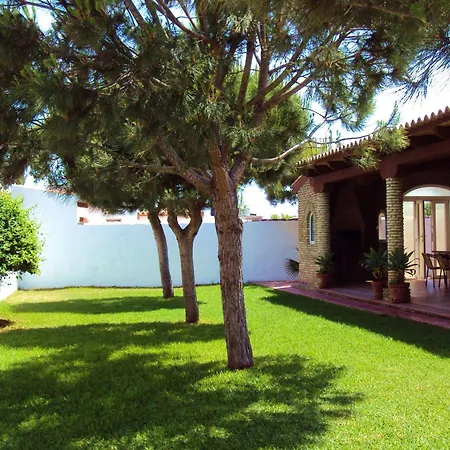 Entre Pinos El Palmar (Andalucia)