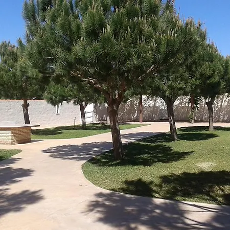 Entre Pinos