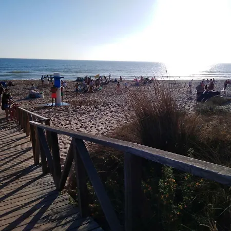 Entre Pinos * El Palmar (Andalucia)